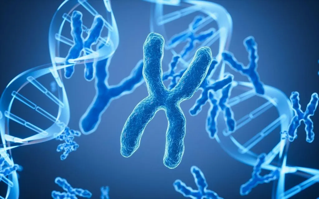 3D illustration of chromosomes and DNA strands representing genetic screening