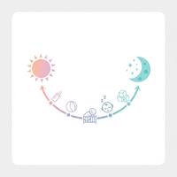 Daily Routine Planner