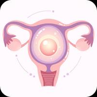 Ovulation Calculator